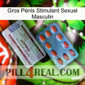 Gros Pénis Stimulant Sexuel Masculin 36